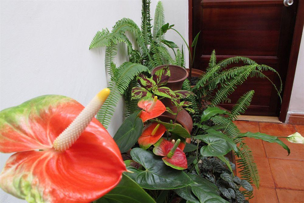 Hotel Frances La Maison Pasto Exterior foto
